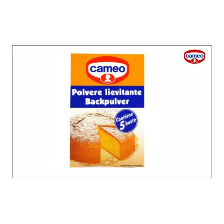 POLVERE LIEVITANTE CAMEO BUST.GR.16X5